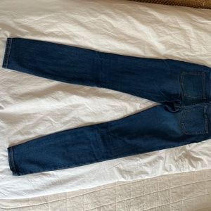 Everlane Skinny Mid-rise Blue Jean Size 26 Tall